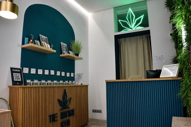 The Nature CBD Madrid - Barrio de Salamanca
