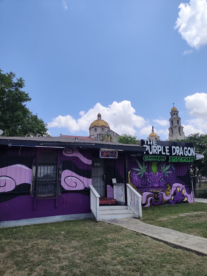 THE PURPLE DRAGON INC #2