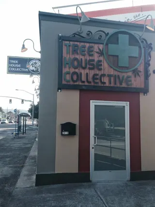 Tree House Collective - Sandy