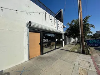Trees Echo Park