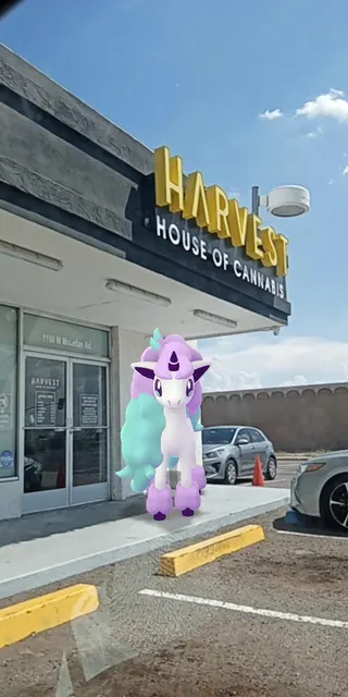 Trulieve Mesa Dispensary North