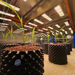 Urban Farm e.V.