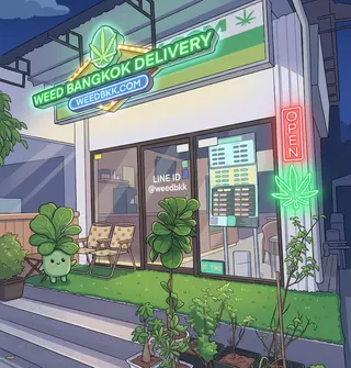 Weed Bangkok Delivery