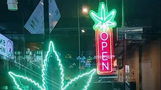 Weed buddy