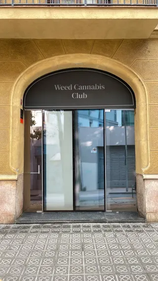 Weed Cannabis Club
