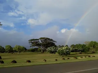 Weed Circle + Kaukonahua Rd