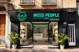 Weed People CBD