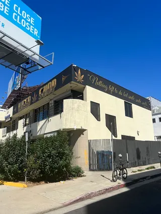 Weed Shop Hollywood