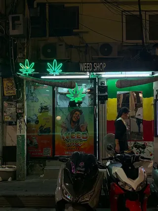 Weed shop1