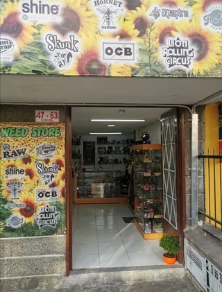 Weed Store Colombia