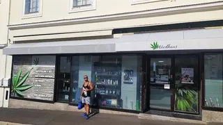 Weedhaus Head&Grow CBD Hanfshop