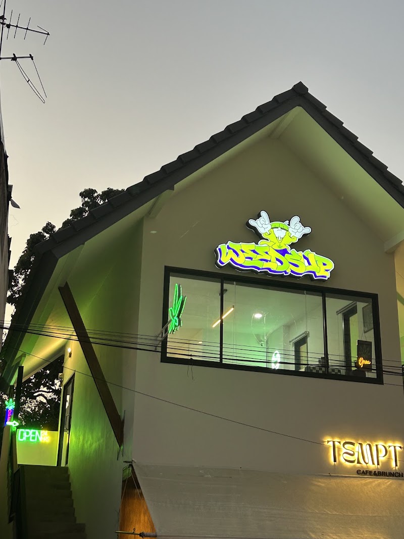 WeedSup – Weed Shop 24 hr. Snus | Chiang Mai