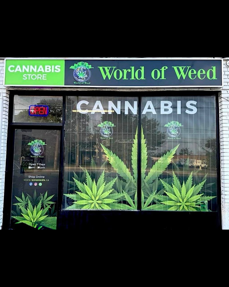 WOW World of Weed - Cannabis Store