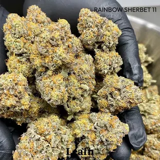 Zenleafshop1