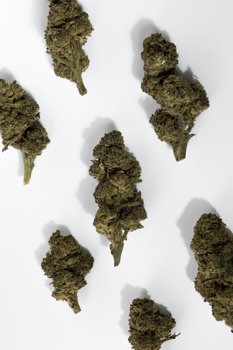 AnyWeed