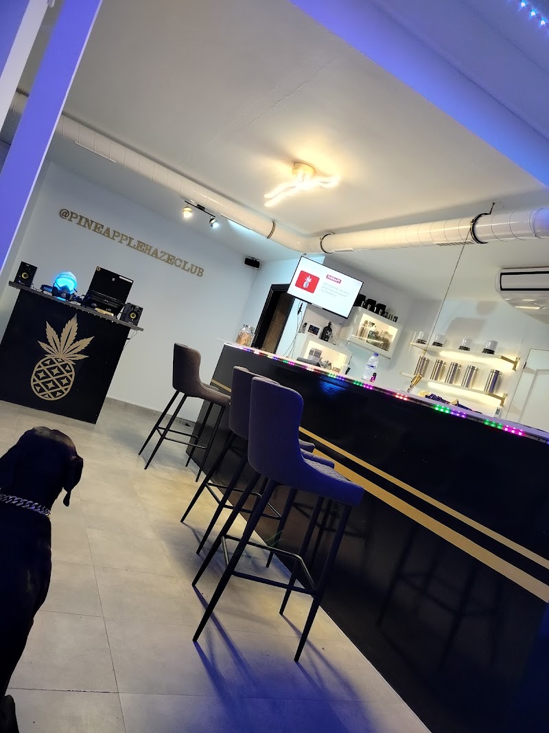Asociación Cannábica La Vega Cannabis Club Lanzarote, photo 2