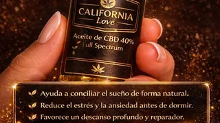 CBD California Love Castellon, photo 2