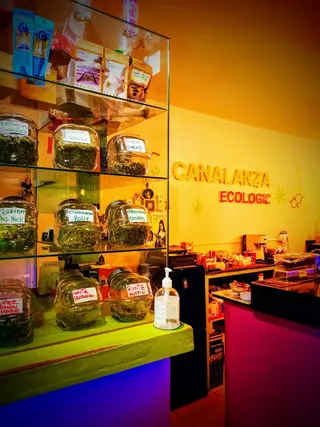 Club Cannabis Canalanza, foto 2