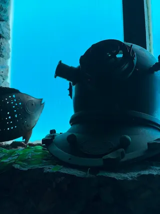 El Submarino CSC, photo 2