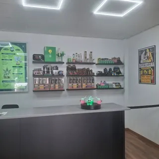 GREEN MOOD STORE ALBIR, foto 2