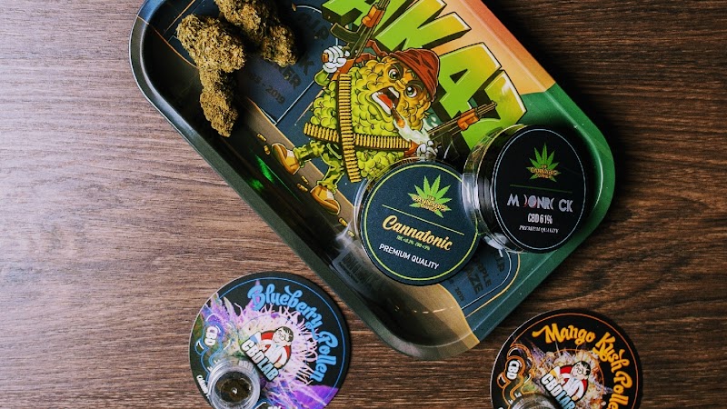 The Cannabis Corner Palma de Mallorca, foto 2