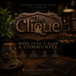 The Clique, photo 2