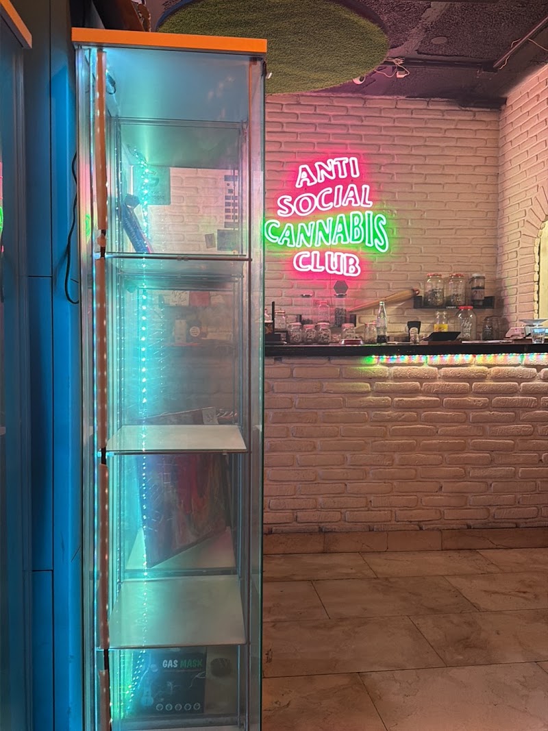 Antisocial cannabis club, photo 3