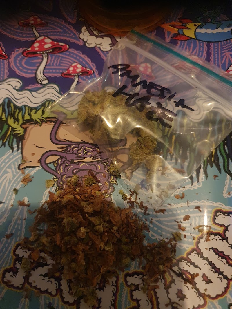 Cannabis club Los Hermanos, photo 3