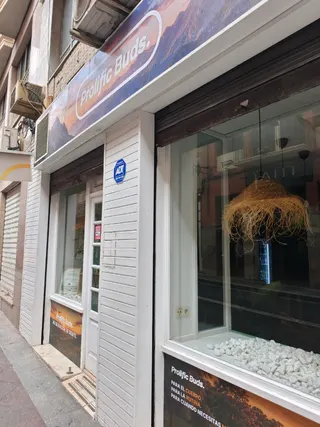 CBD Elche Prolific Buds, foto 3