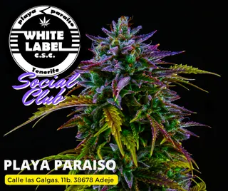 CSC White Label, photo 3