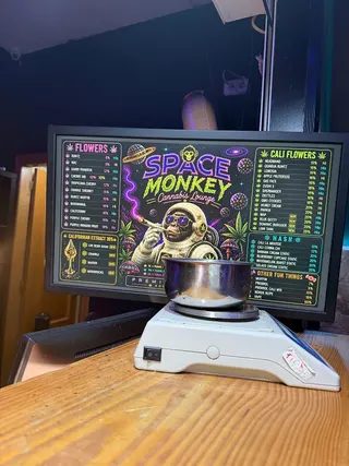 Space Monkey Club, photo 3