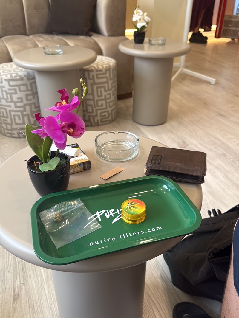 Sticky Cannabis Club, photo 3
