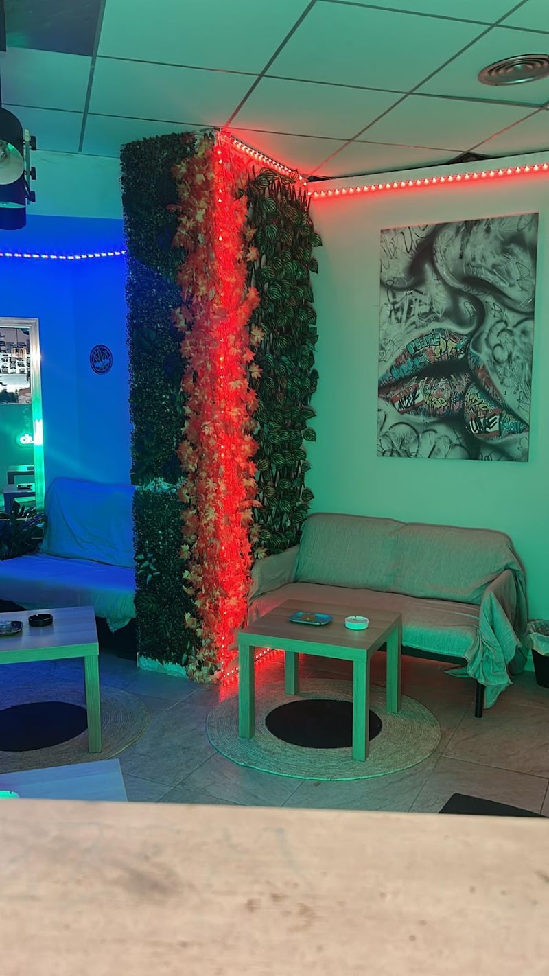 Weed land social club Marbella, photo 3