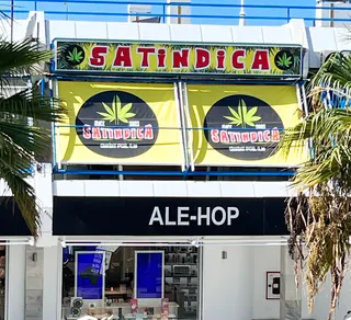 Weed Tenerife CSC Satindica, photo 3