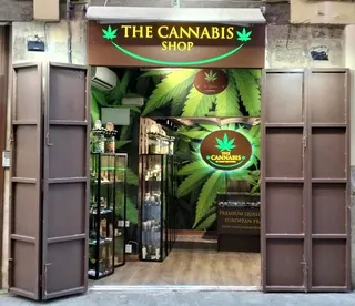 Cannabis Coffee Shop Serranos - TCS, photo 4