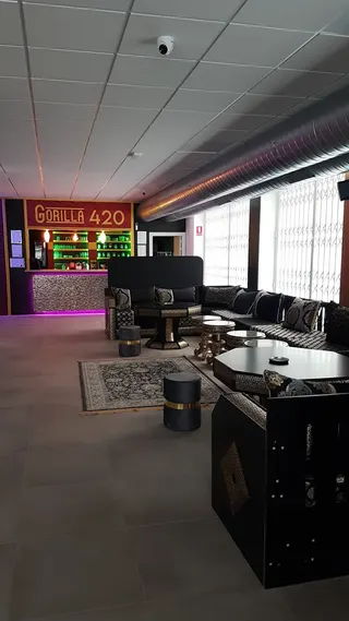 Gorilla420Denia, photo 4