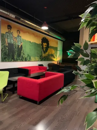 Associació Cannàbica CannaCat, photo 5