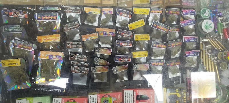 CBD Madrid | Mr. Weed, photo 5