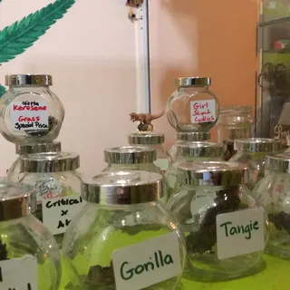 Club Cannabis Canalanza, foto 5