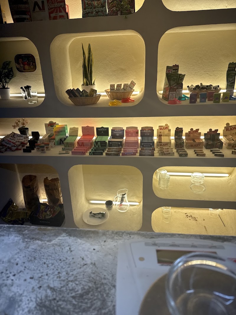 Cookies: Ibiza Weed Club, photo 5