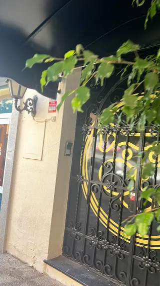 DogRoom CSC, photo 5
