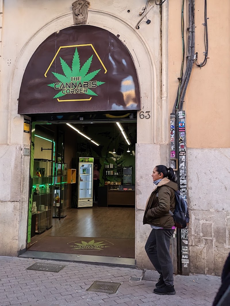 The Cannabis Corner Palma de Mallorca, foto 5