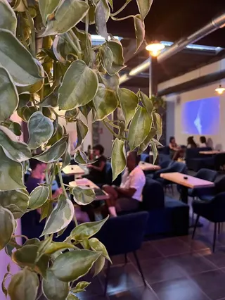 👉 The Hub Weed Club | Cannabis Club en Barcelona, photo 5