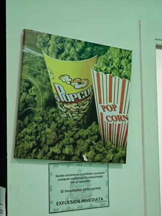 Asociacion cannabica Green Temple, photo 6