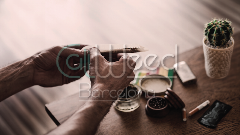Cali Weed Barcelona, photo 6