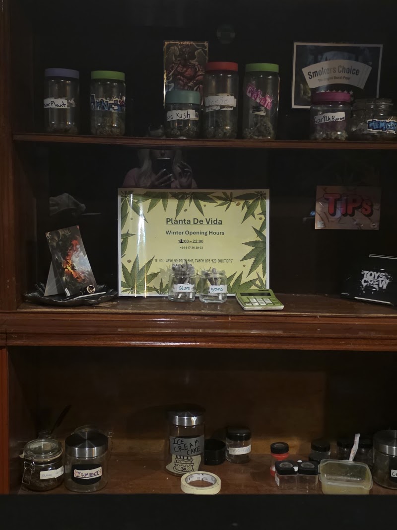 Planta De Vida CSC Weed Club, photo 6