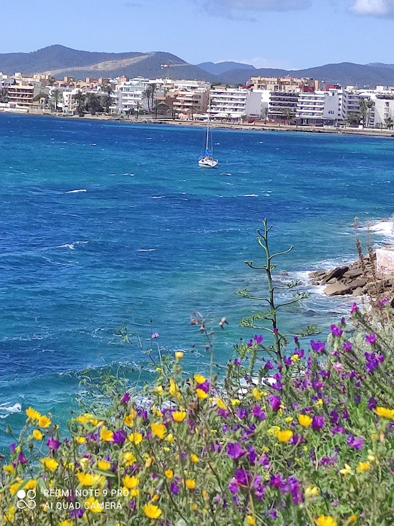 Weed Ibiza, photo 6