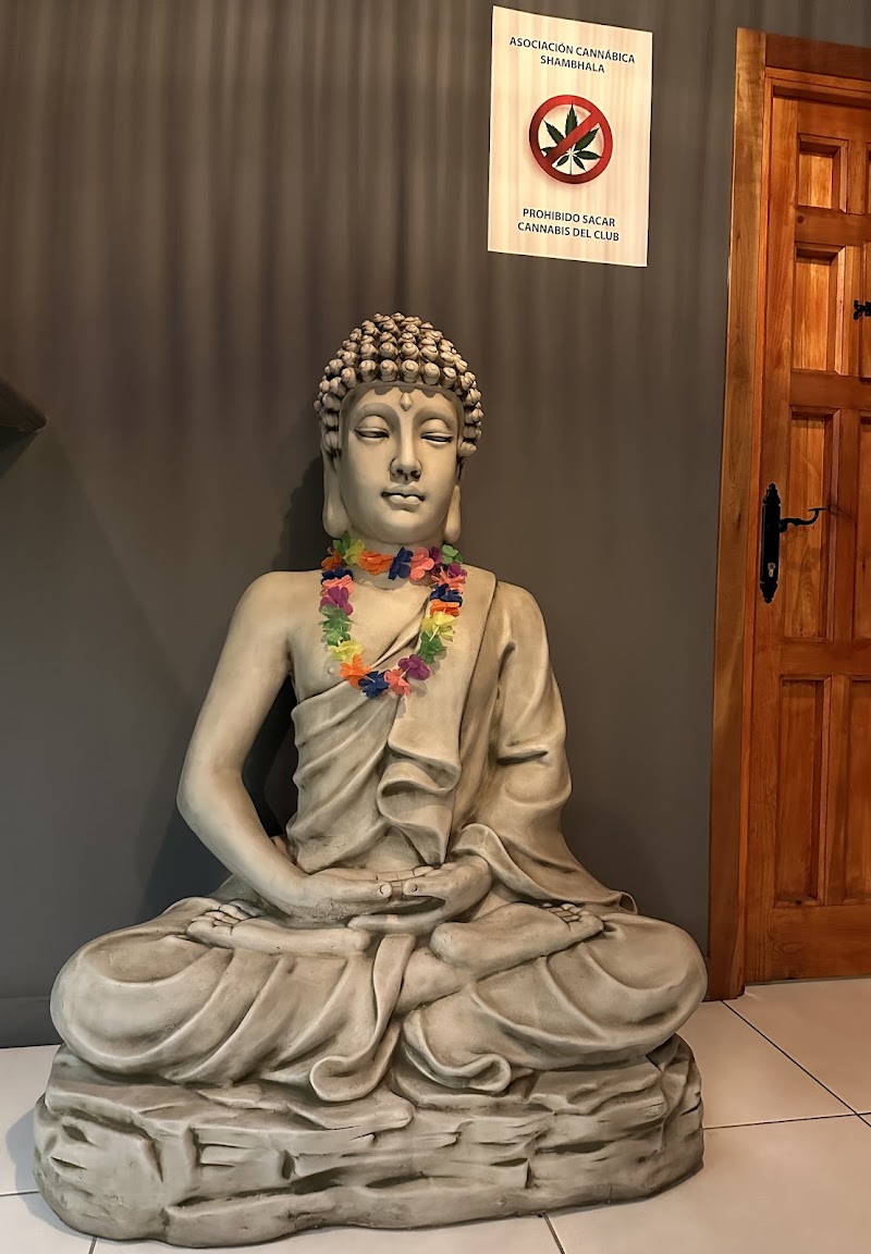 Asociación Cannábica Shambhala, photo 7