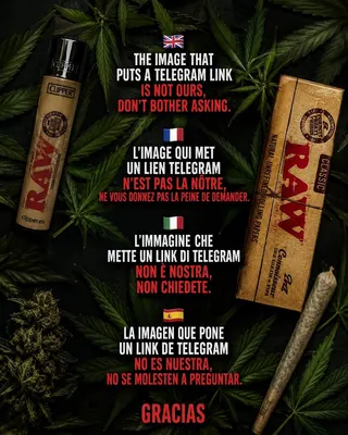 Cannabis Coffee Shop Serranos - TCS, photo 7
