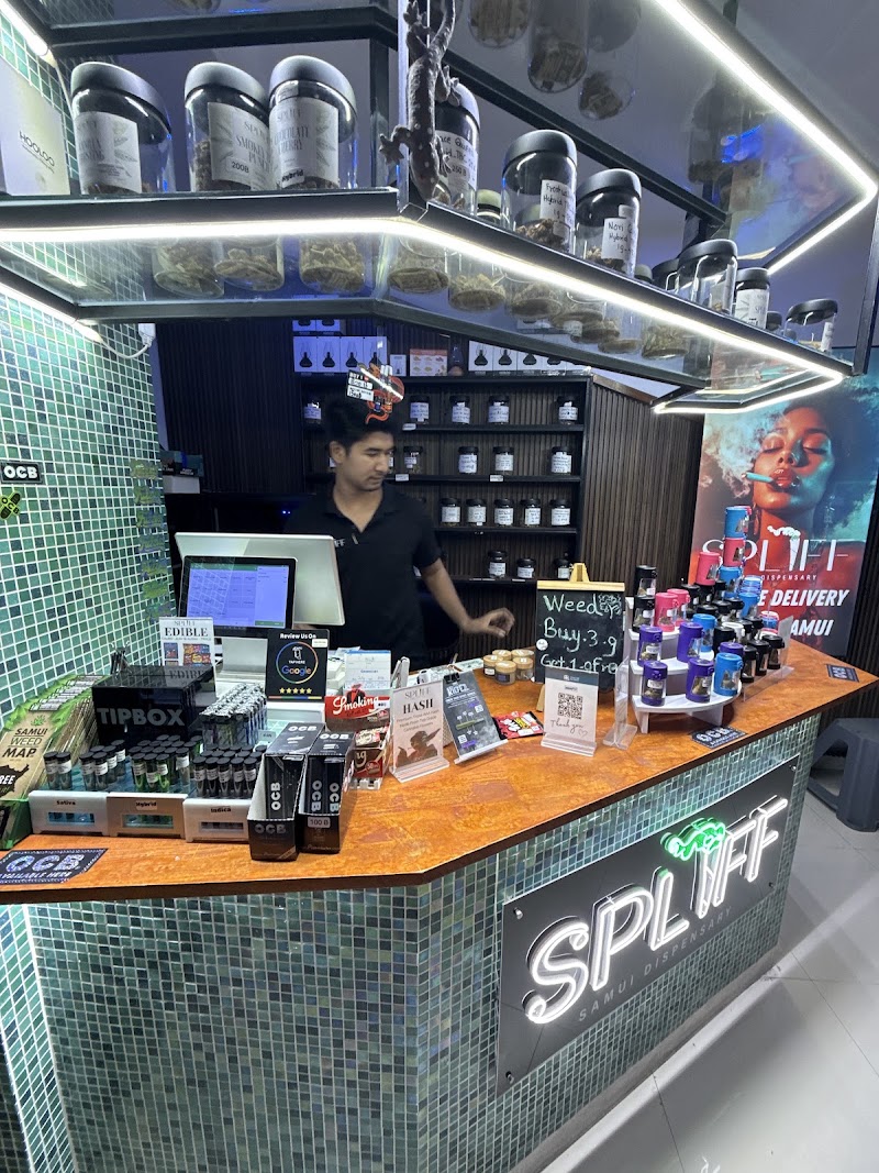 CannaConcept Dispensary, photo 7
